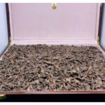 هندي موري منيبور دبل سوبر