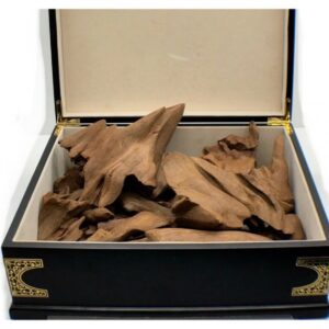 مروكي كنج فاخر جدا