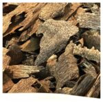 Cambodian Double Super Oud