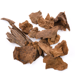 Burmese Super Oud