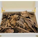 لاوسي دبل سوبر