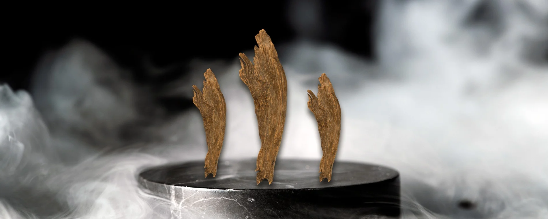 vDWUC22lV9AS30iC5i48nuNFtzeqhvsR7A98TNDF