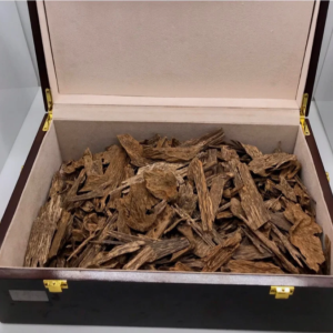 Double Super Pontianak Kalimantan