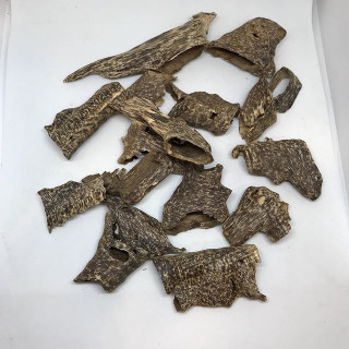 Cambodian Trad Oud