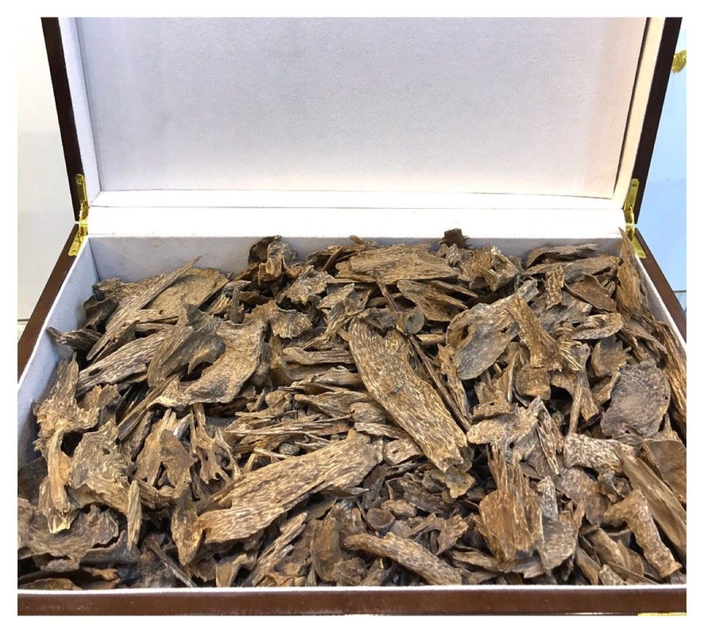 Malaysian Super High-Grade Oud