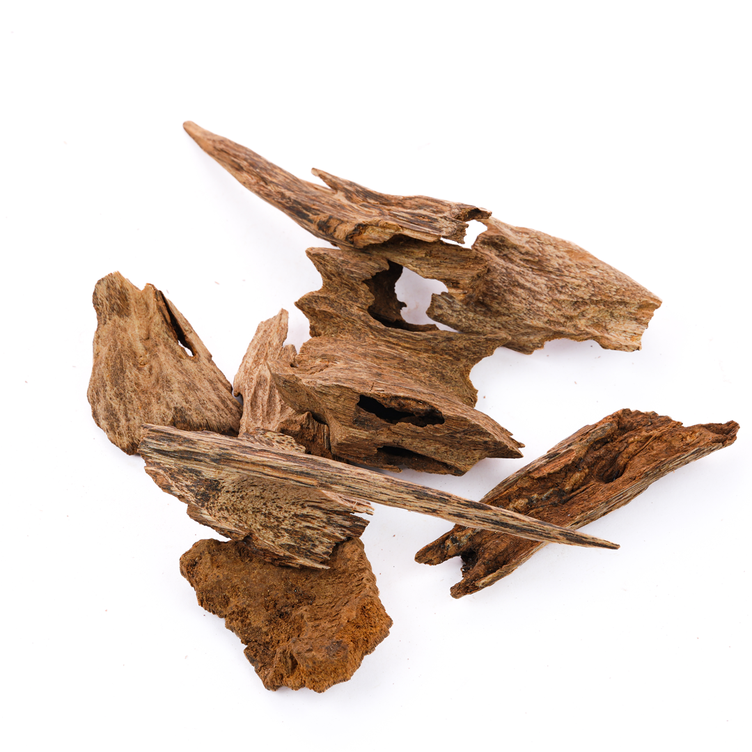 AATSUP-10478 Kalimantan Super Oud