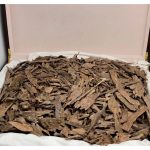 Malaysian Super Oud
