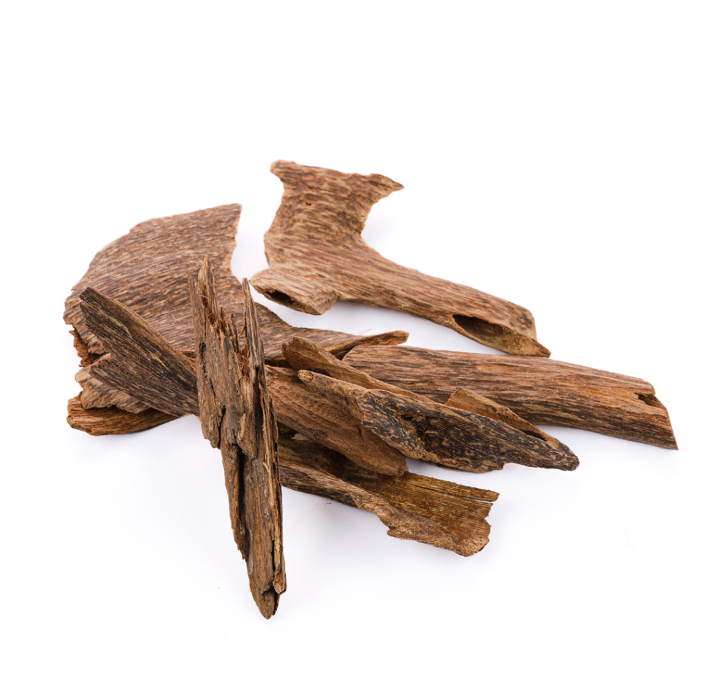 Laotian Super Oud